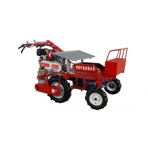 2-BIGDEL Motorlu kendi yürüyen Sebze fide dikim makinesi 2 sıralı